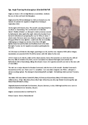 A preview of a PDF biography for McClenaghan, Hugh Fleming
